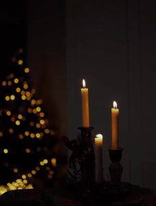 12 Days of Enchantment ✨ Holiday Advent
