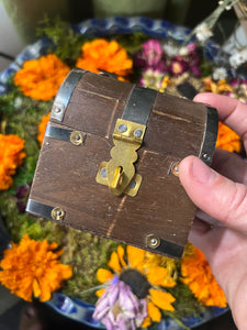 The Witch’s Treasure Chest