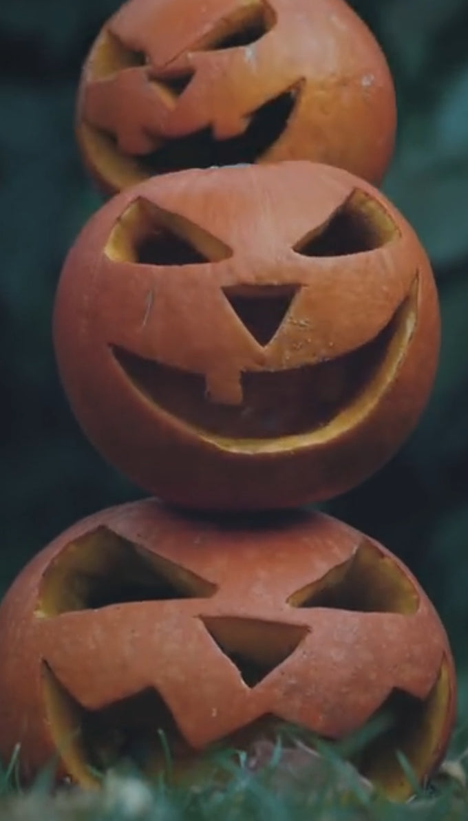 13 Days of Halloween 🎃 Samhain Advent Calendar